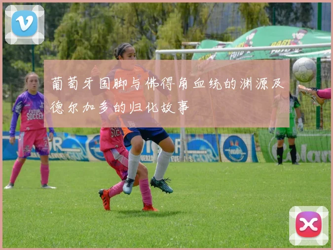 葡萄牙国脚与佛得角血统的渊源及德尔加多的归化故事