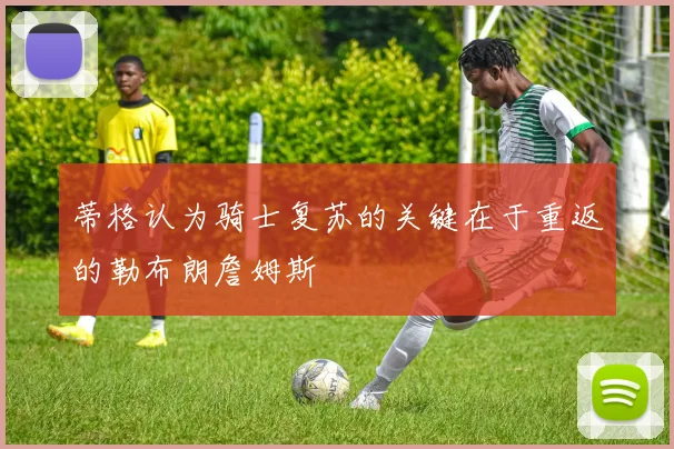 蒂格认为骑士复苏的关键在于重返的勒布朗詹姆斯